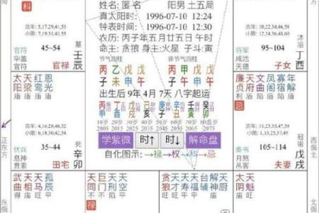 如何通过八字分析揭示个人命运趋势