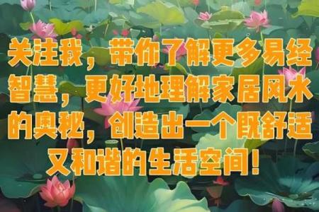 易经风水秘术：引导人生走向成功
