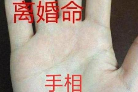 揭示会离婚的手相特征与分析