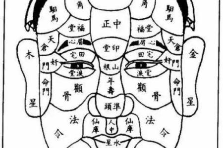 短下巴面相特点及其对生活的潜在影响