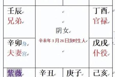 紫微斗数排盘解读技巧与方法解析