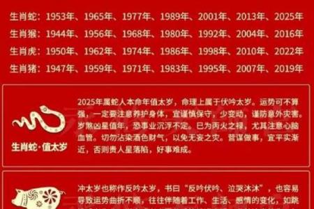 大运排盘如何影响人生走向与运势变化