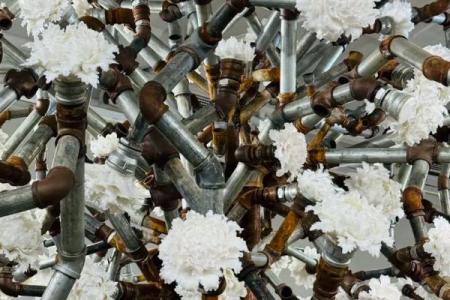 铁树开花之命的命理解析与现实启示