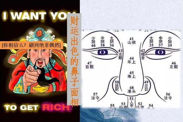 男人鼻子的面相秘密：揭示事业运与爱情运