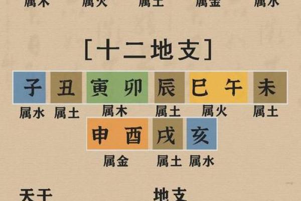 十天干与十二地支的读法及记忆技巧揭秘