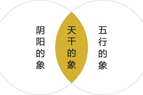 天干合的人在事业与家庭中的独特优势