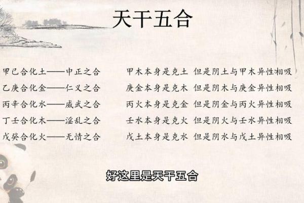 天干合的人在事业与家庭中的独特优势