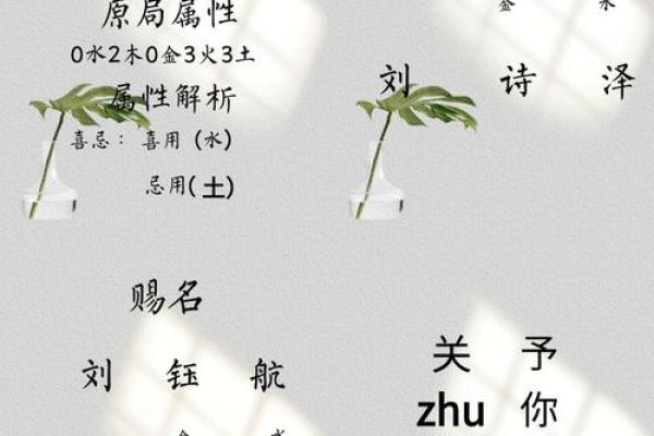 为刘姓属鸡男宝宝挑选有意义的名字推荐
