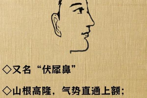 男生鼻子面相解读：如何通过鼻型看性格与运势