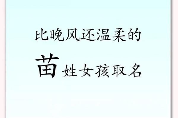 苗姓宝宝名字大全：精选吉祥寓意名字