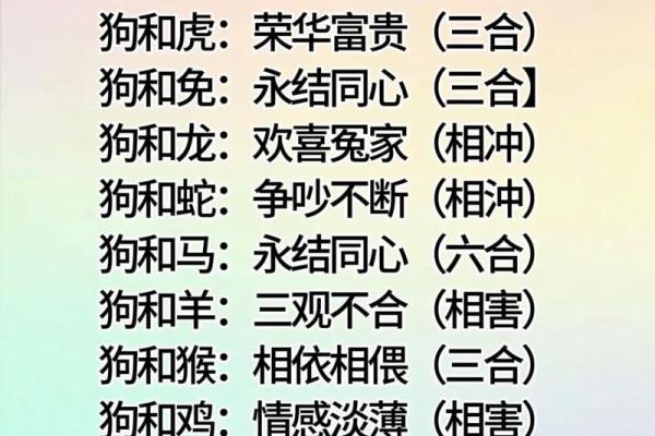 属相相配表解析：如何通过生肖找到最佳配对