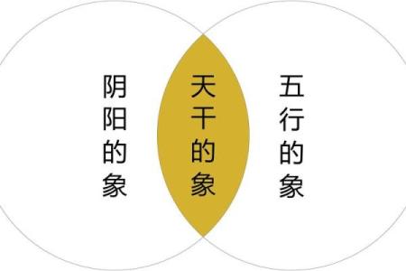 天干合的人在事业与家庭中的独特优势