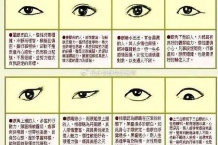 男生鼻子面相解读：如何通过鼻型看性格与运势