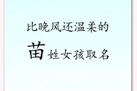 苗姓宝宝名字大全：精选吉祥寓意名字