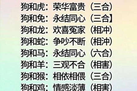 属相相配表解析：如何通过生肖找到最佳配对