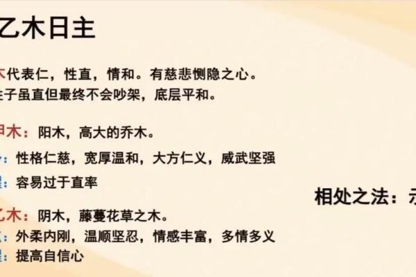 天干地支互通的深层次意义与应用
