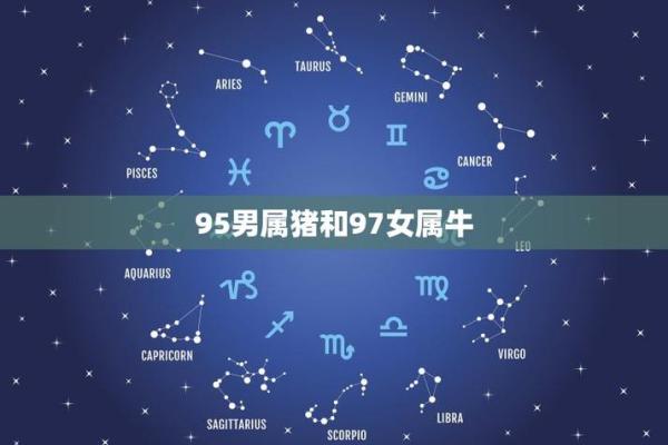 属猪女和属牛男的匹配度如何？深度剖析两者的关系