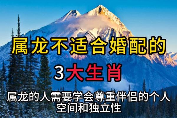 属龙女和属蛇男的婚配适合吗？揭秘两者的缘分与挑战