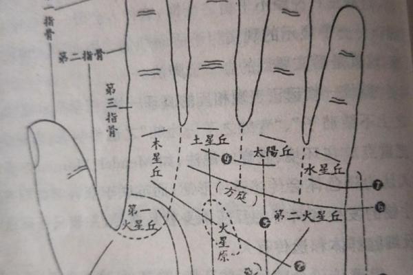 手相自学入门：快速了解如何通过手纹预测未来