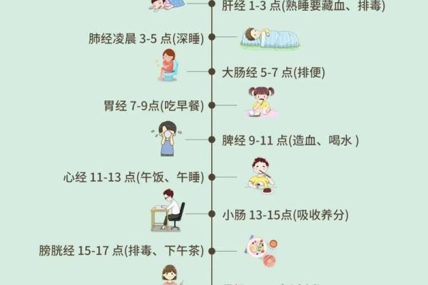 天干对人体五脏六腑的影响与调节