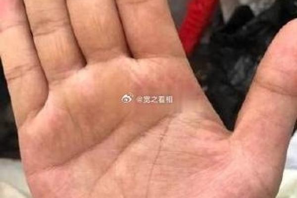 探索鱼形纹手相的深层含义与影响