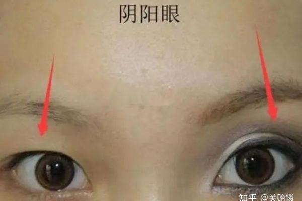 凤眼面相与命运走向的关系：从眼睛看性格与人生