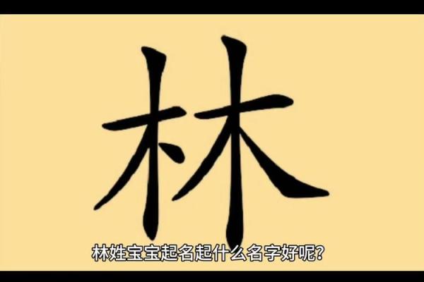 姓林宝宝名字大全：既有文化底蕴又具现代感