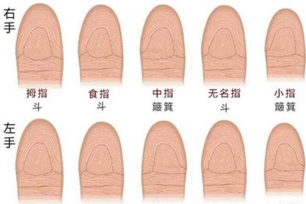 富贵命指纹的四大标志，你的指纹符合吗？