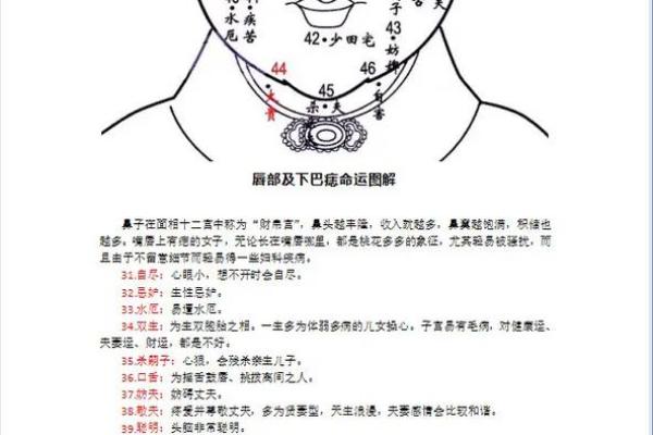 如何从面相解读双下巴的隐藏信息