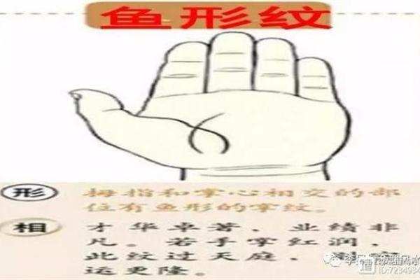 鱼形纹手相背后的秘密：你的未来或许藏在其中