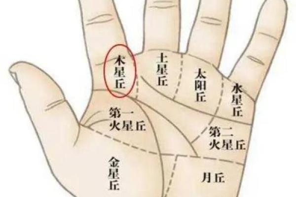 手相所罗门教你识别命运的走向与转折点