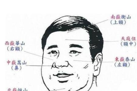 男人鼻子面相解析：如何通过鼻型看性格与命运