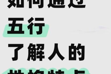 未时五行属性解析与相关影响因素