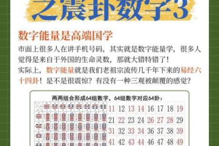 震字五行属性解析及其在命理中的意义