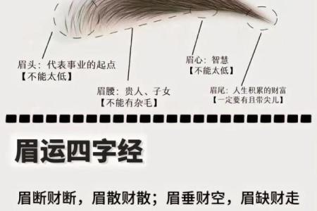 解读嘴型面相：如何通过嘴唇形状判断个性与命运