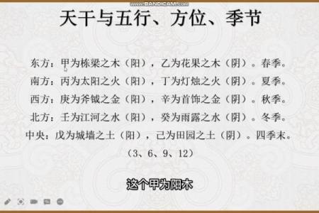 天干地支互通的深层次意义与应用