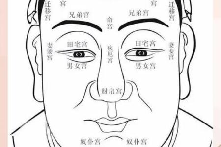 脸大面相的秘密：揭示面部特征与人生走向