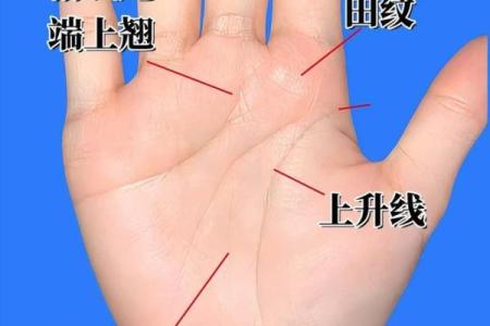 手相中的财富线：如何通过男人的手掌预测财富未来