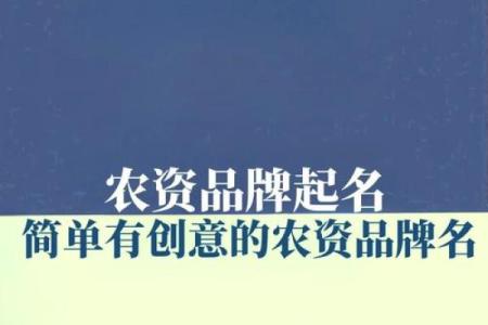 公司起名大师：为你的企业赋予名字的力量