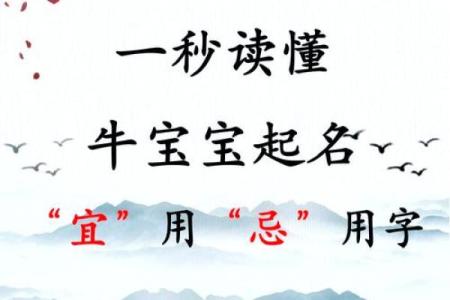 如何避免给宝宝起名字时的常见错误