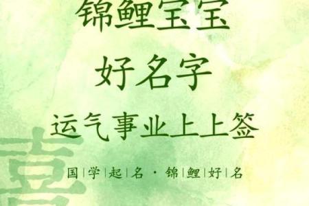 如何为鸡年宝宝挑选一个吉祥名字