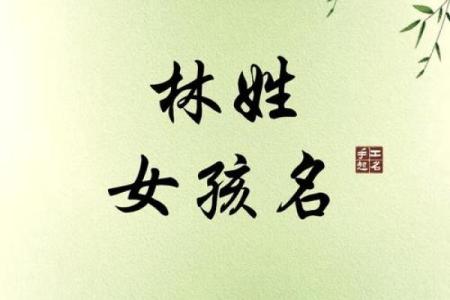 姓林宝宝名字大全：既有文化底蕴又具现代感