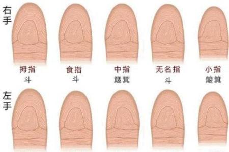 富贵命指纹的四大标志，你的指纹符合吗？