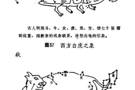 天干全透的奥秘与应用解析