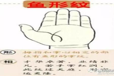 鱼形纹手相背后的秘密：你的未来或许藏在其中