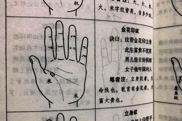 手相自学技巧：解读掌纹与生活的深层联系
