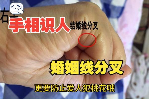 专家解读：哪些手相暗示婚姻可能走向离婚