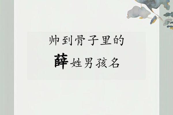 薛姓男孩猴年宝宝起名推荐与技巧