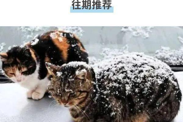 男肛门长毛的原因与命运解读