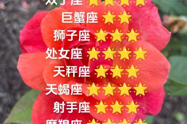 金牛座今日运势：事业与爱情的平衡艺术